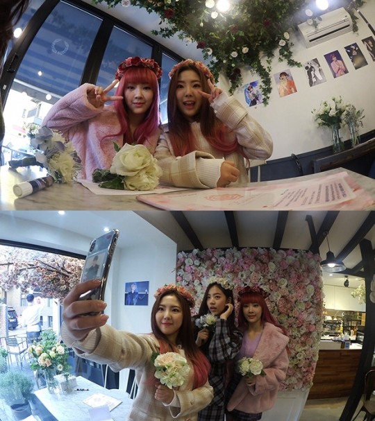 설램 이미지