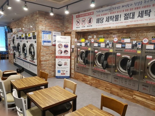 워시테리아 이미지