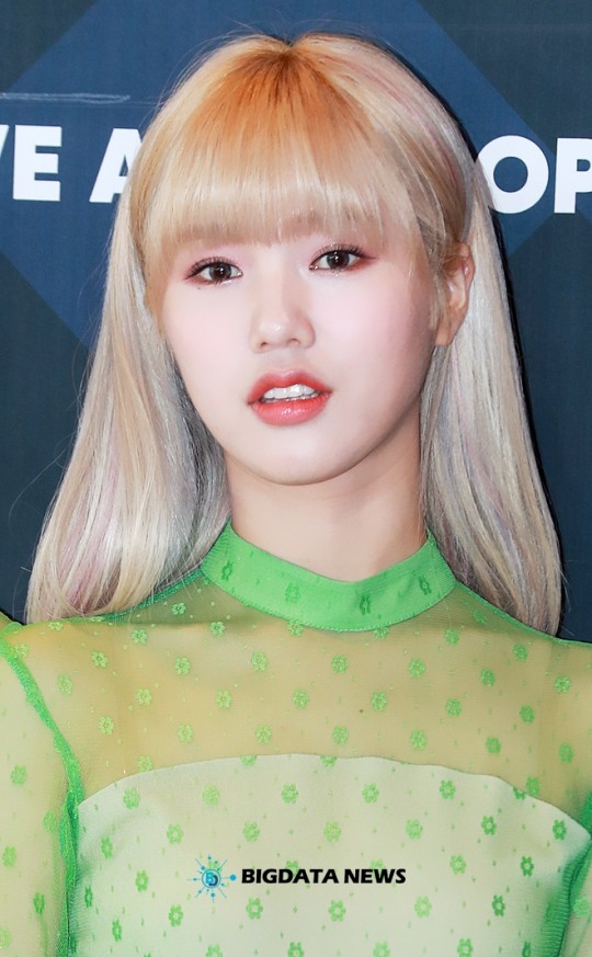 비주얼엠 이미지