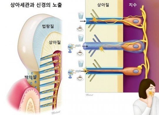 새이처럼치과 이미지