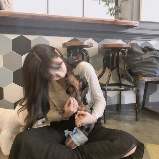 에나 이미지