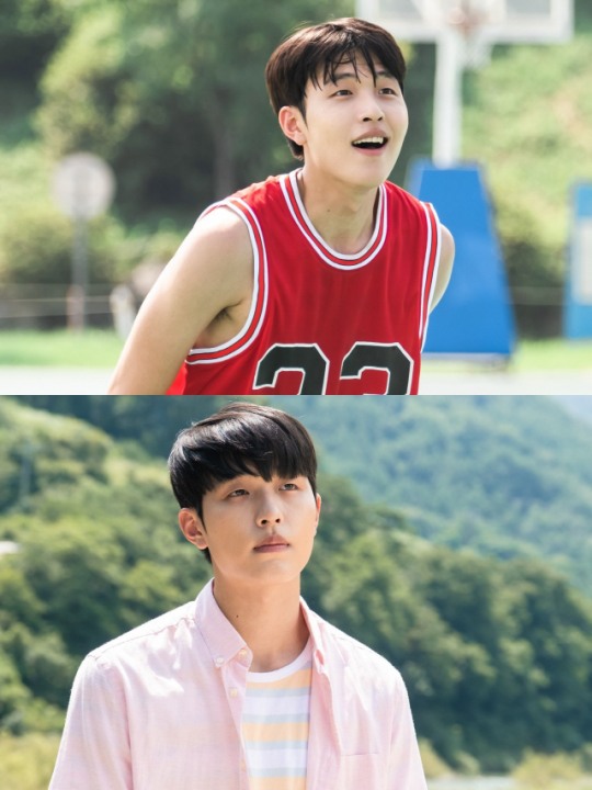 더풀 이미지
