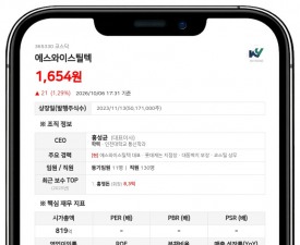 에스와이 등, 에스와이스틸텍 주식 담보 제공 비율 24.02%로 확대