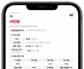 E8, 주식병합으로 10월 12일부터 주권매매거래정지