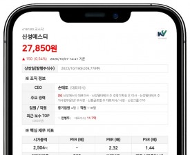신성에스티, 미국 종속회사에 163억원 채무보증 결정
