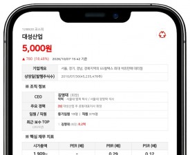 대성산업, 자회사 대성쎌틱에너시스 380억원 규모 유상증자 결정