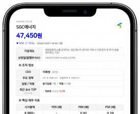 SGC에너지, 자회사 에스지씨에이아이인프라 240억원 규모 유상감자 결정