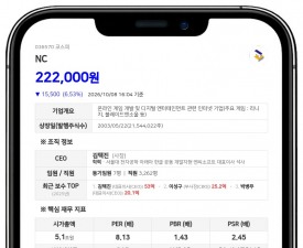 NC, 친인척 김택헌 장내매도로 최대주주등 지분율 12.36%로 하락