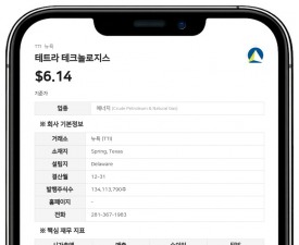 테트라 테크놀로지스, 실버포인트와 대출 계약 개정…금리 인하·만기 연장
