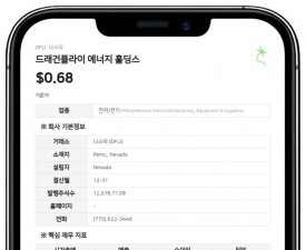 드래건플라이 에너지, 1대 8 주식 병합 단행…나스닥 최소 입찰가 규정 대응 목적