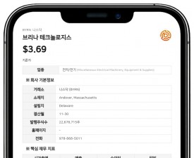 브리나 테크놀로지스, 3분기 순손실 291만 달러로 적자 전환…매출 45.7% 급감