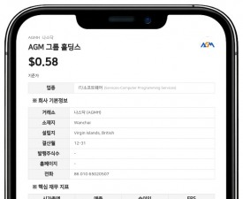 AGM 그룹 홀딩스 이사 장루이, 지분 81.48% 보유 보고서 정정 제출