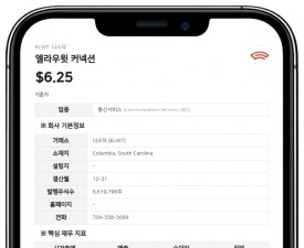엘라우윗 커넥션, 외부 감사인 '위덤스미스+브라운' 해임…새 감사인에 'MPB 글로벌' 선임