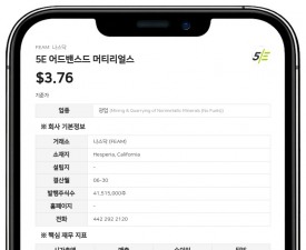 인도 니르마, 5E 어드밴스드 머티리얼스 지분 12.4% 확보…자산 매각 대금으로 주식 수령