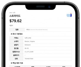 스트라이드, 주요 주주 파이브스팬과 협력 협약 체결…이사회 개편 및 자본배분위원회 신설
