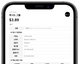 루시드, 사우디 PIF 계열사서 4억 달러 한도대출 인출…누적 차입 21억 달러