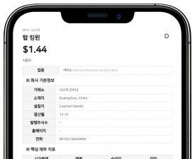 넥스푸 CEO 쉬루이린, 의결권 90.71% 보유