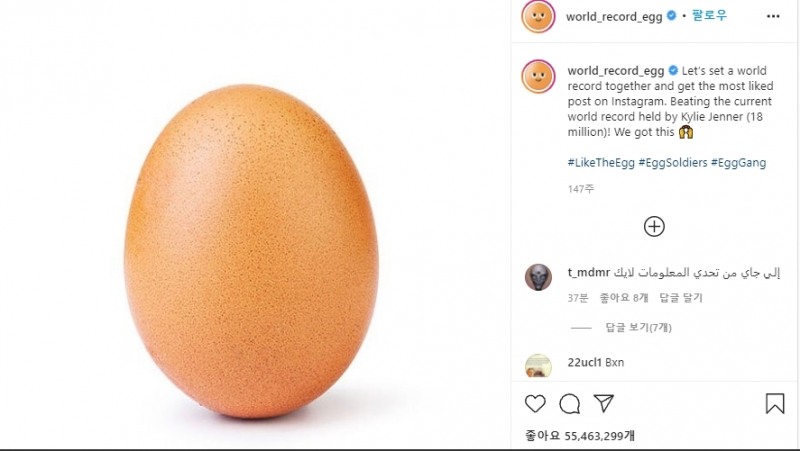 5,500만 개의 '좋아요'를 받은 달걀 사진. [월드레코드에그 인스타그램 캡처]