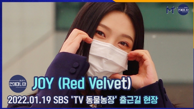 레드벨벳(Red Velvet) 조이, 화이트카펫에서 출근길 런웨이 [마니아TV]