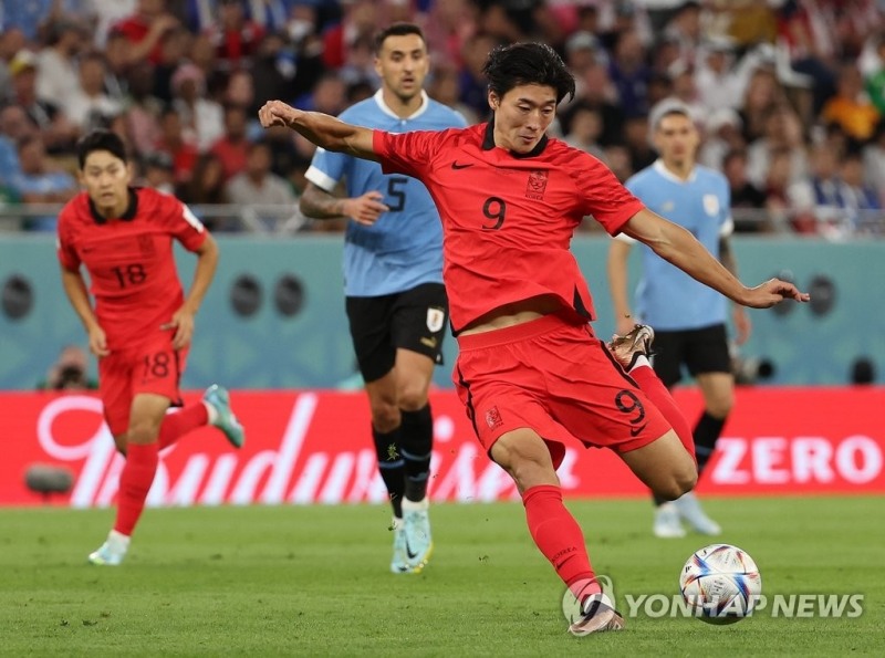 우루과이와 경기에서 한국 조규성이 슛을 날리고 있다.[사진=연합뉴스] 