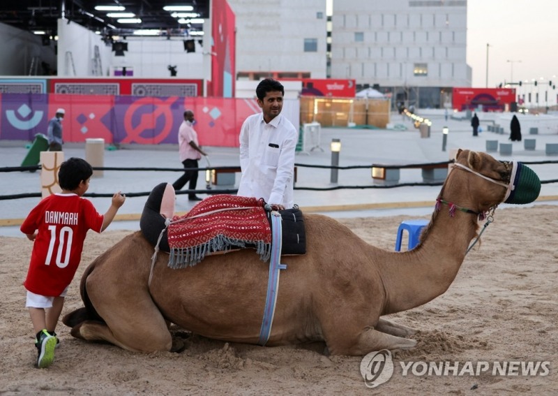 앉아있는 낙타를 구경하는 소년 축구팬 [연합뉴스 자료사진] 