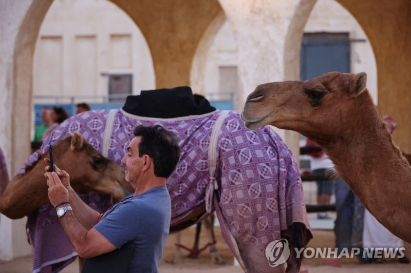낙타와 '셀카'를 찍는 카타르 관광객 [사진=연합뉴스] 