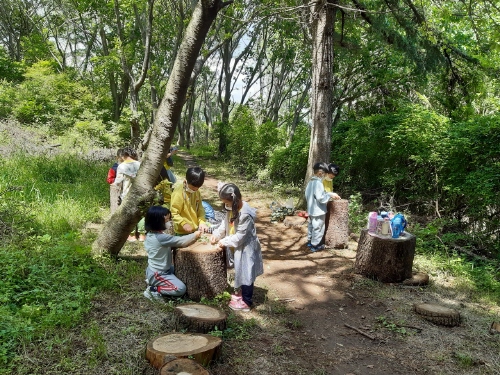 부산 북구, '자연친화형 유아숲 교육' 운영