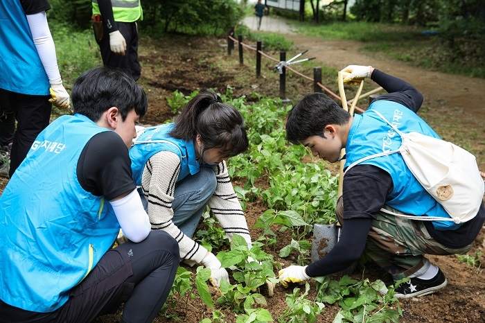 KT&G복지재단이 북한산 생태복원을 위한 나무 식재 봉사활동을 진행했다. 사진은 행사에 참여한 대학생 자원봉사자들이 묘목을 심고 있는 모습[사진=KT&G]