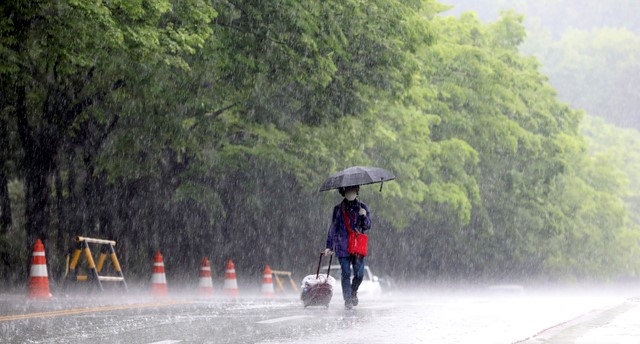 강한 바람과 함께 비가 내리고 있는 7일 오전 서울 서초구 대검찰청에서 우산을 쓴 사람이 비를 맞으며 발걸음을 재촉하고 있다. 
