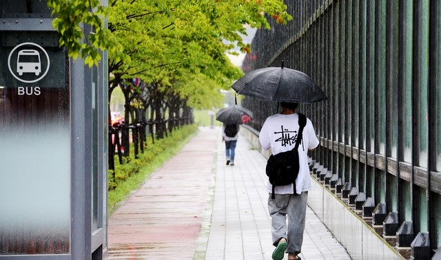 주말인 21일 오전 가을장마의 영향으로 전국에 많은 비가 내리고 있는 가운데 경남 창원시 중동로에서 우산을 쓴 시민들이 길을 걷고 있다.