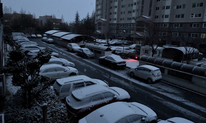 광주 광산구 한 아파트단지 내 주차 차량에 눈이 내려앉아 있다.