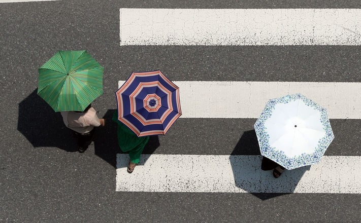 무더운 날씨를 보인 지난 19일 부산 연제구의 한 도로에서 양산을 쓴 시민들이 횡단보도를 건너는 모습. 