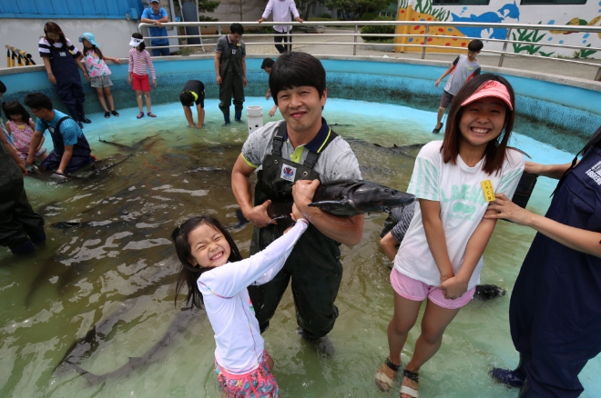 경기도 해양수산자원연구소 연구관이 민물고기 체험행사에 참석한 어린이 들이 한강에서 멸종된 철갑상어를 만지면 즐거워하고 있다.(경기도해양자원연구소 제공)