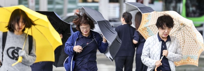 [날씨] 수능일, 대전·충남·세종, 5~30㎜ 비 내려…아침 1도