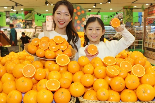 만다린 이미지