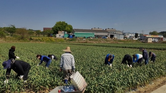 밀양인력 이미지