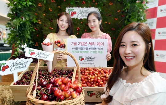 체리글로벌 이미지