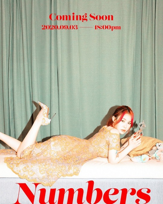 더 넘버스 이미지