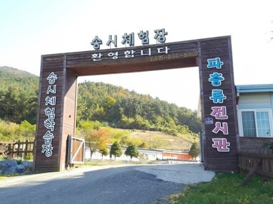 부형 이미지