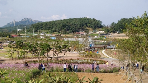 목화정원 이미지