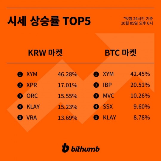 베라시티 이미지