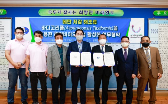 (주)씨위드 이미지