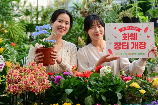 장터마트 이미지