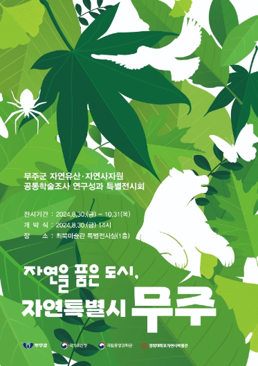 자연사 이미지