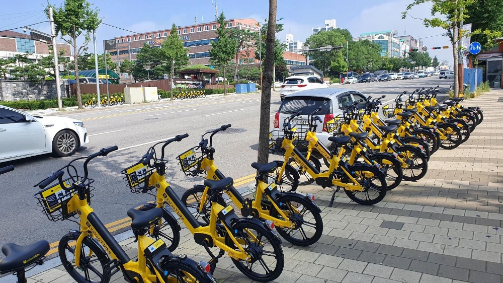 일본 자전거 인도