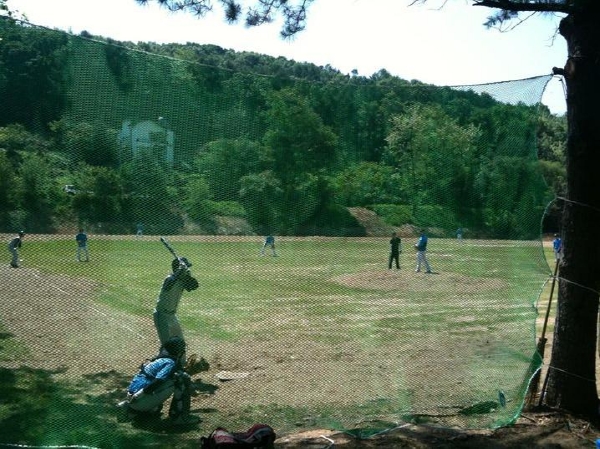 ’꿈의 구장으로 간다’, 게임인 야구리그 '성황'