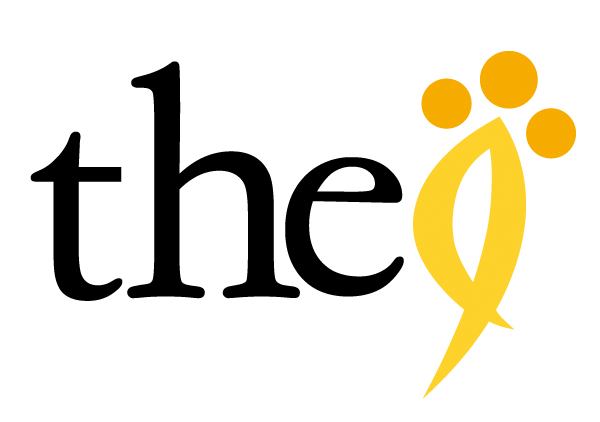 더나인코리아, 본사와 다른 독자노선 '눈길'