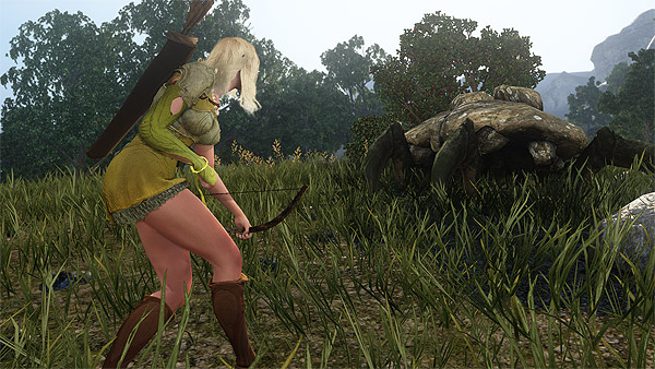 MMORPG '검은사막' 스크린샷