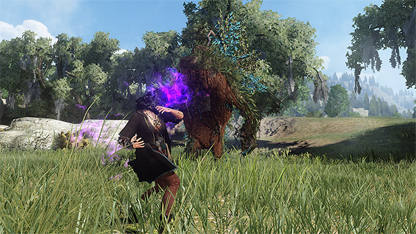 MMORPG '검은사막' 스크린샷