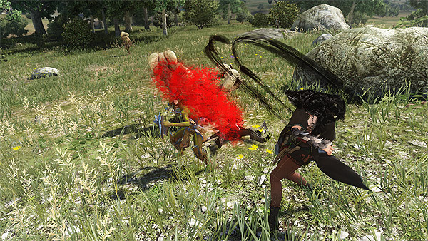 MMORPG '검은사막' 스크린샷